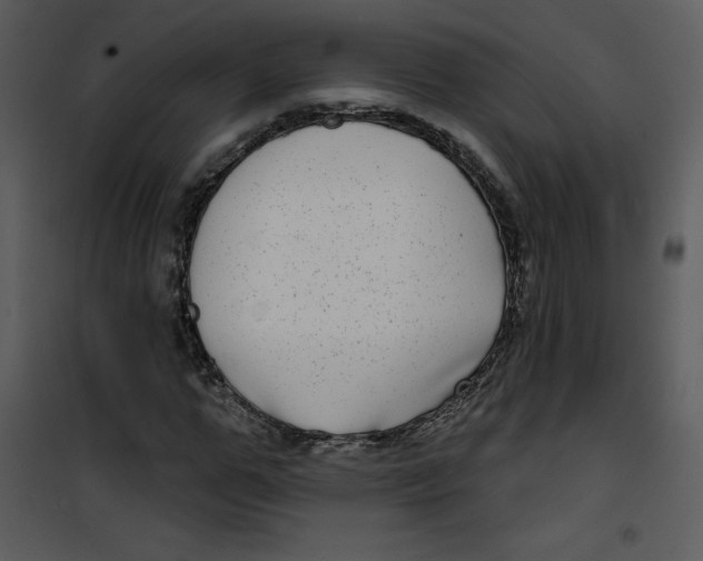 X0000100840967200807180916