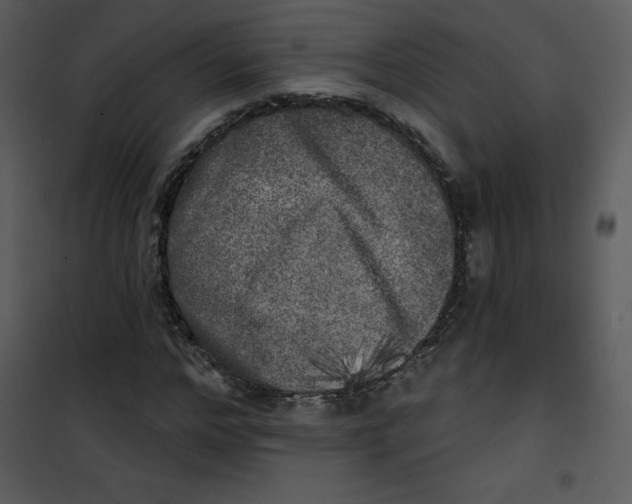 X0000100840968200807180916