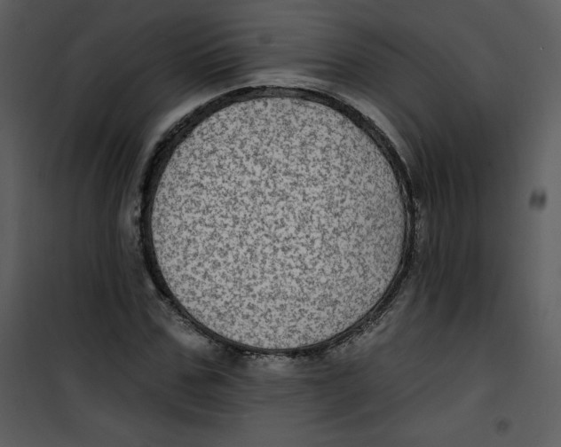 X0000100840971200807180916