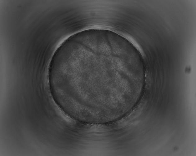 X0000100840972200807180916