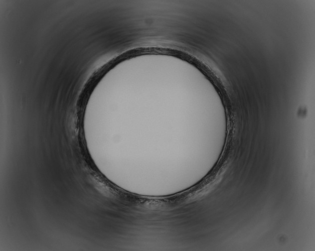 X0000100840974200807180916