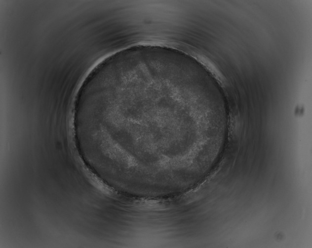 X0000100840976200807180916