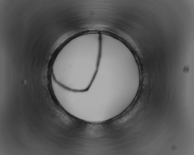 X0000100840978200807180916