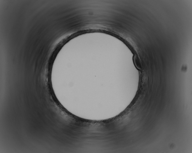 X0000100840979200807180916