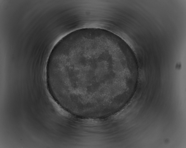 X0000100840980200807180916