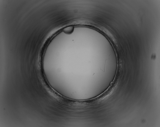 X0000100840981200807180916