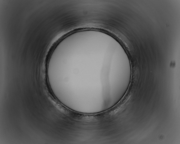 X0000100840982200807180916