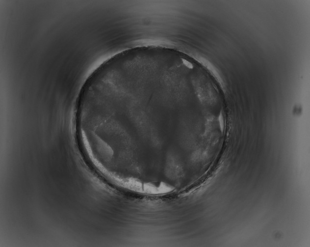 X0000100840983200807180916