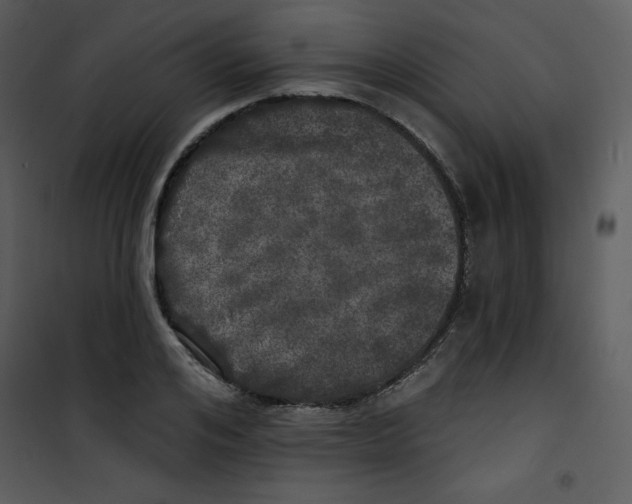 X0000100840984200807180916