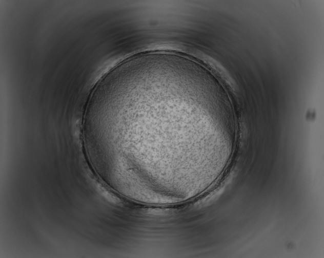 X0000100840985200807180916