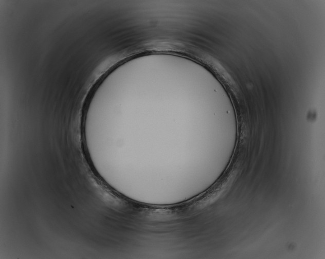 X0000100840986200807180916