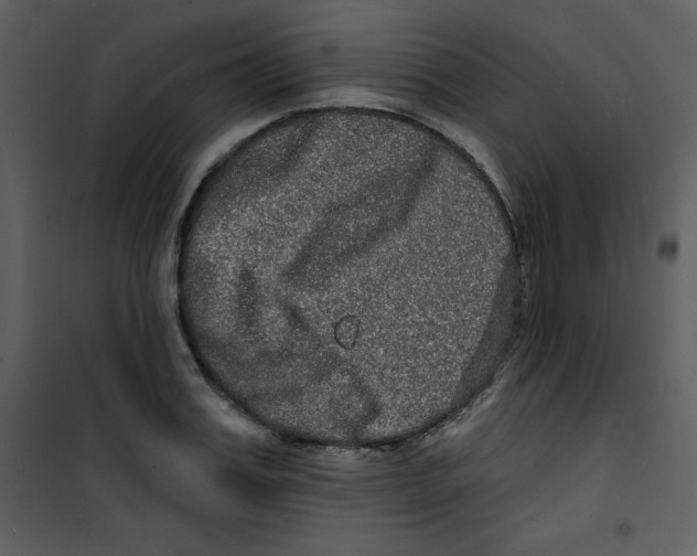 X0000100840987200807180916