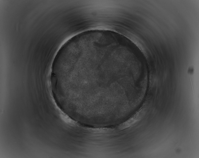 X0000100840988200807180916