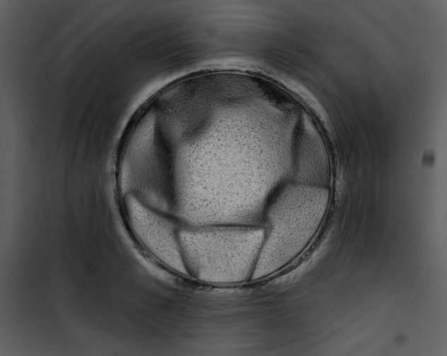 X0000100840989200807180916