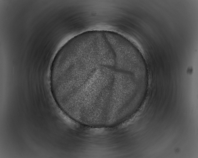 X0000100840990200807180916