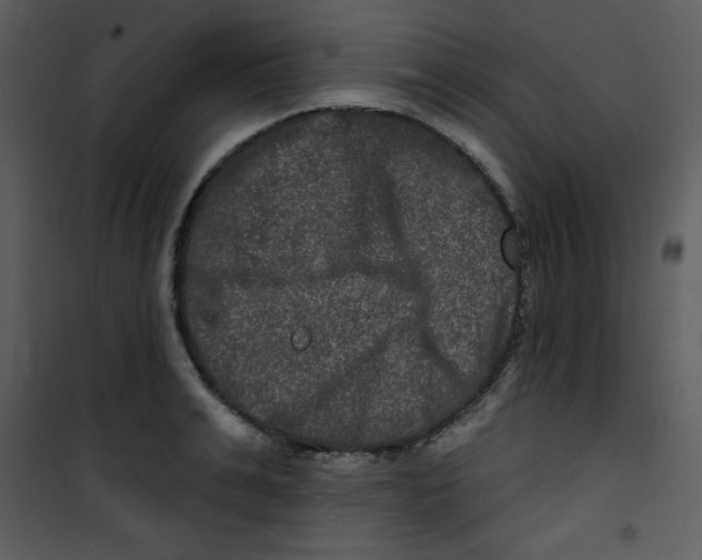 X0000100840991200807180916