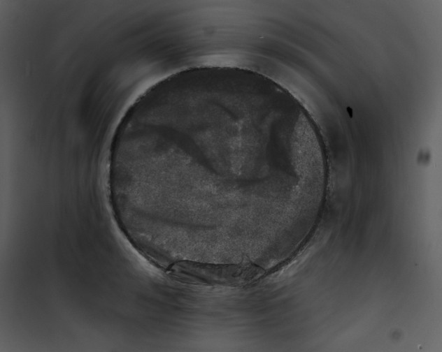 X0000100840992200807180916