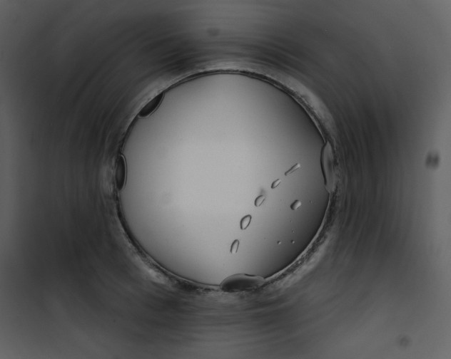 X0000100840993200807180916