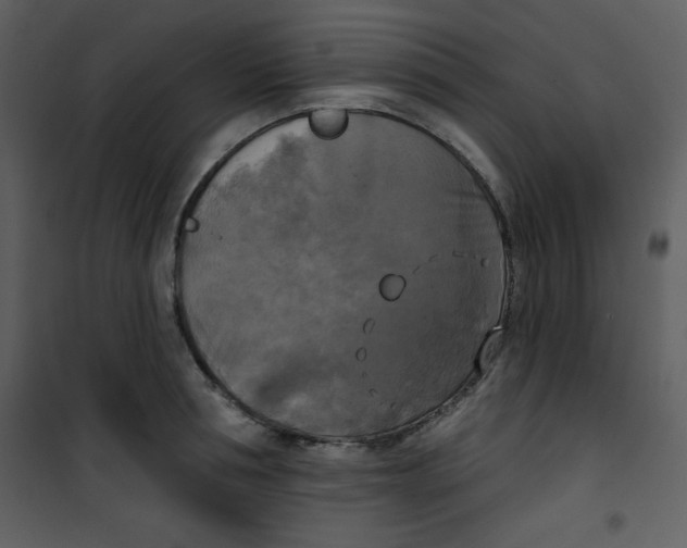 X0000100840994200807180916