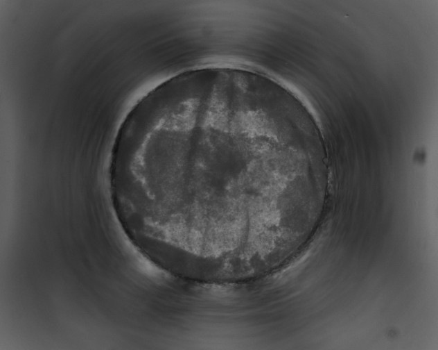 X0000100840995200807180916