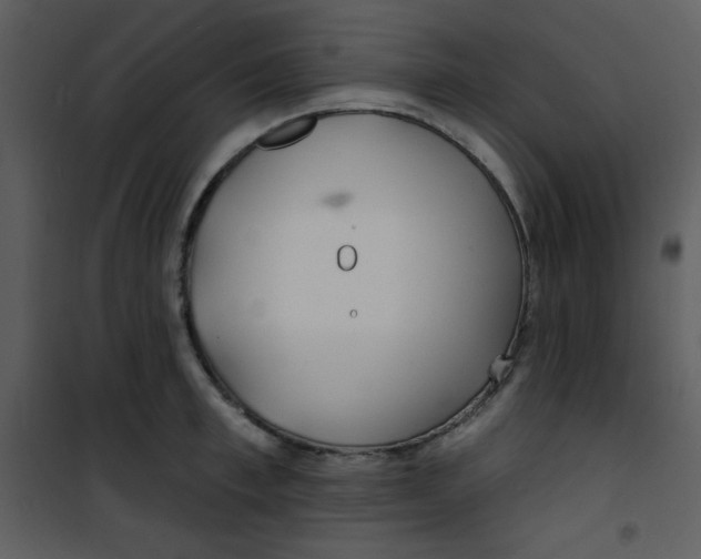 X0000100840997200807180916