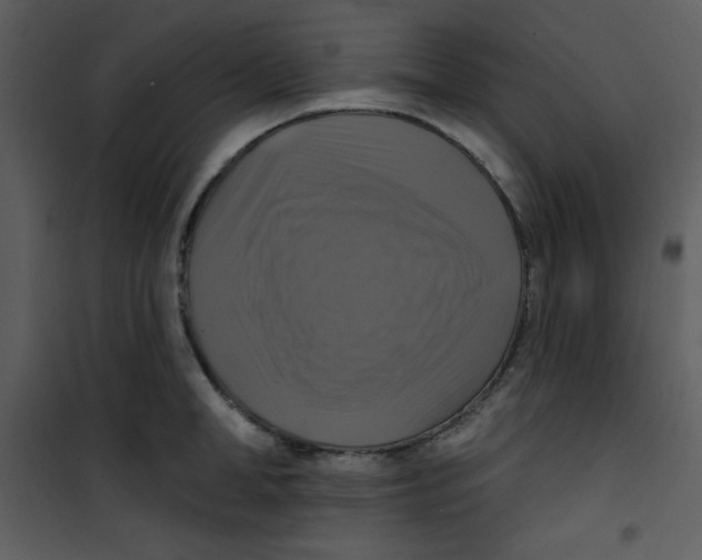 X0000100840998200807180916