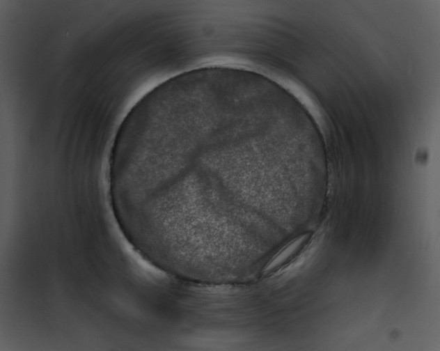 X0000100840999200807180916