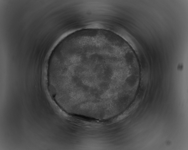 X0000100841000200807180916