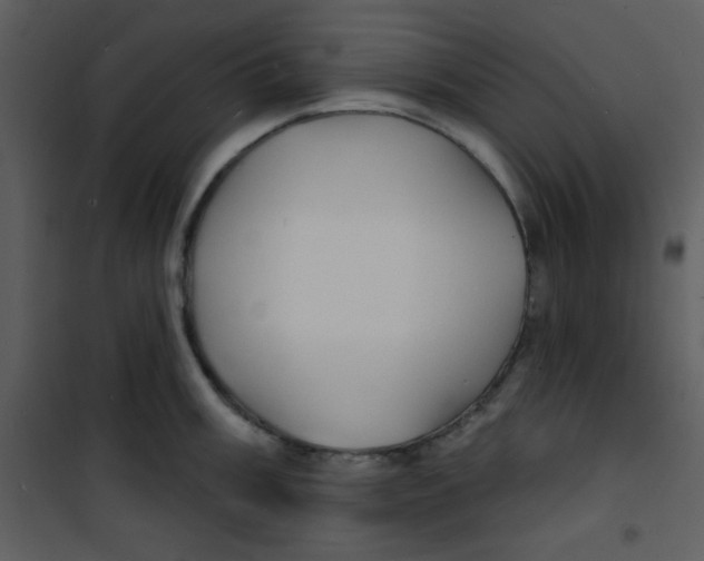 X0000100841003200807180916