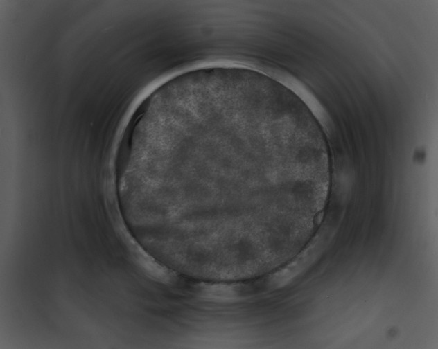 X0000100841004200807180916