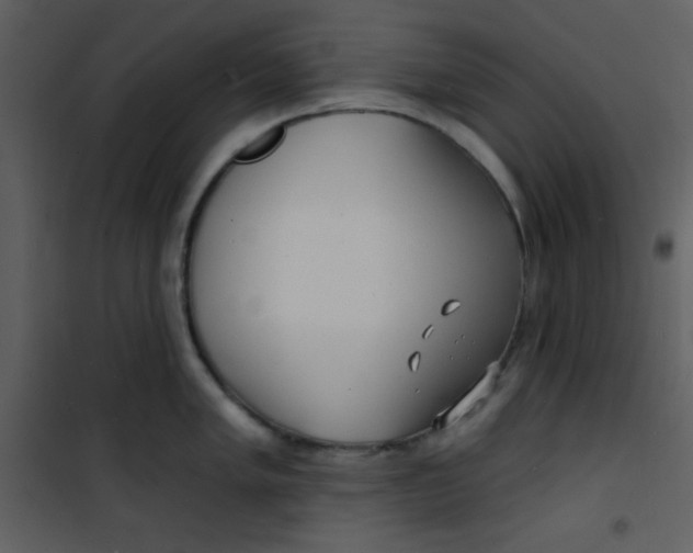 X0000100841005200807180916