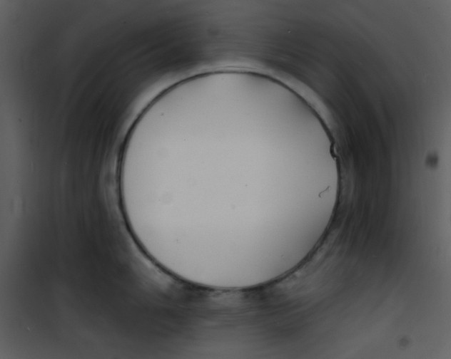 X0000100841006200807180916