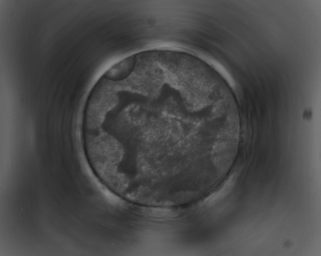 X0000100841007200807180916