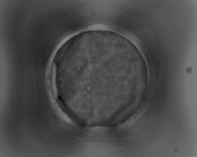 X0000100841008200807180916