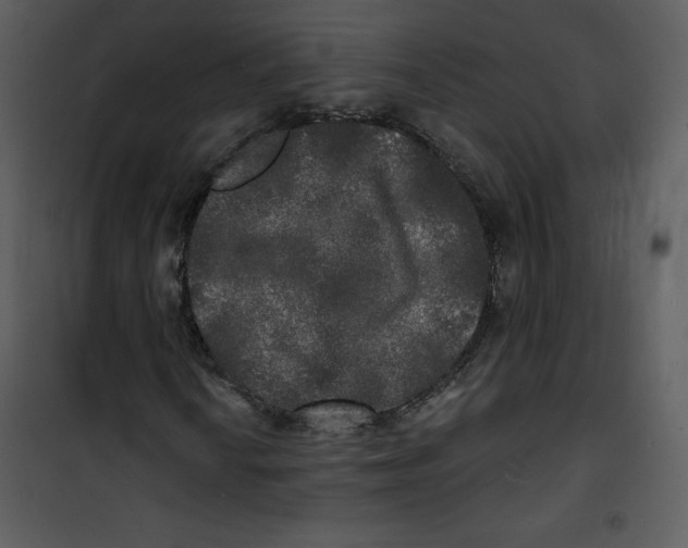 X0000100841010200807180915