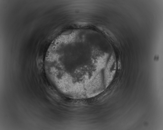 X0000100841011200807180915