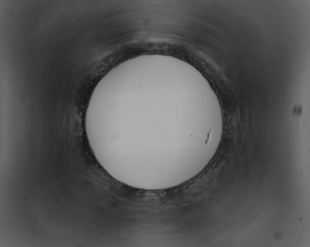 X0000100841013200807180915