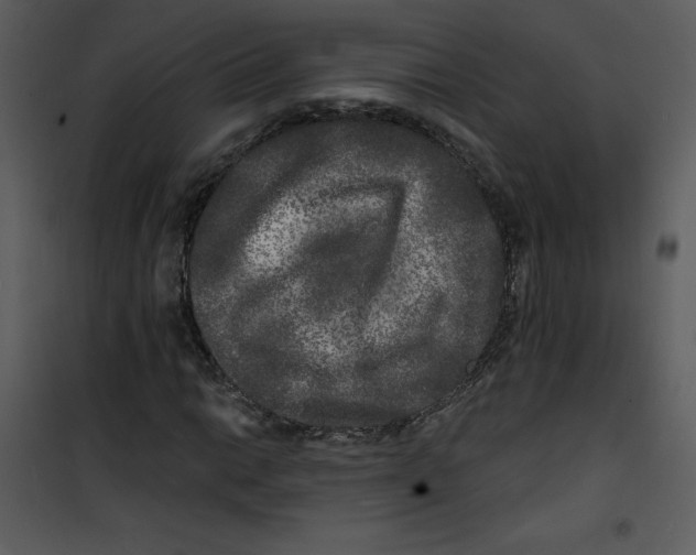 X0000100841014200807180915