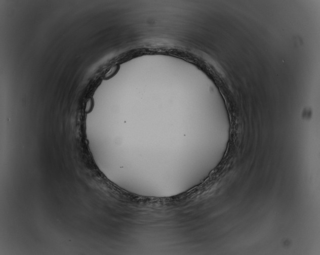 X0000100841016200807180915