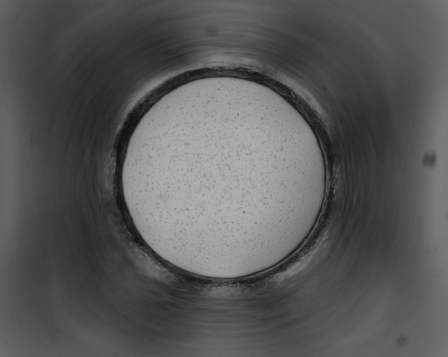 X0000100841021200807180915