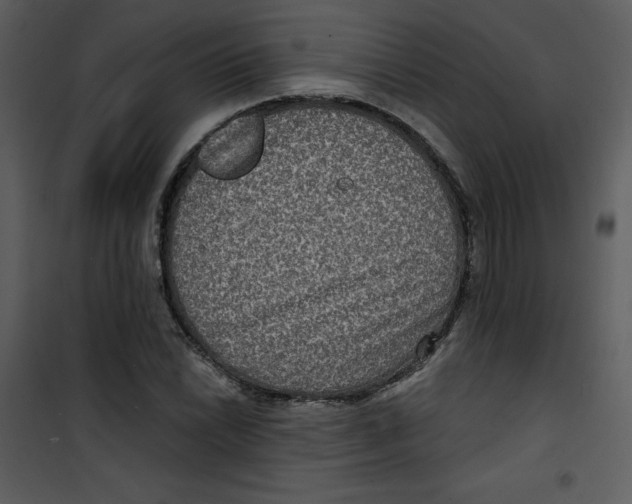 X0000100841022200807180915