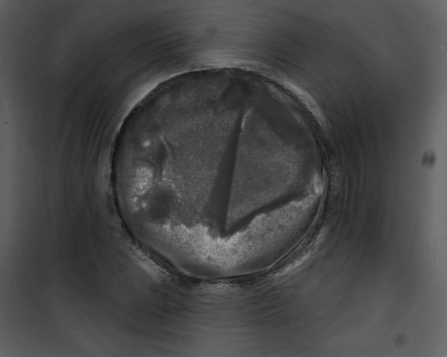 X0000100841023200807180915