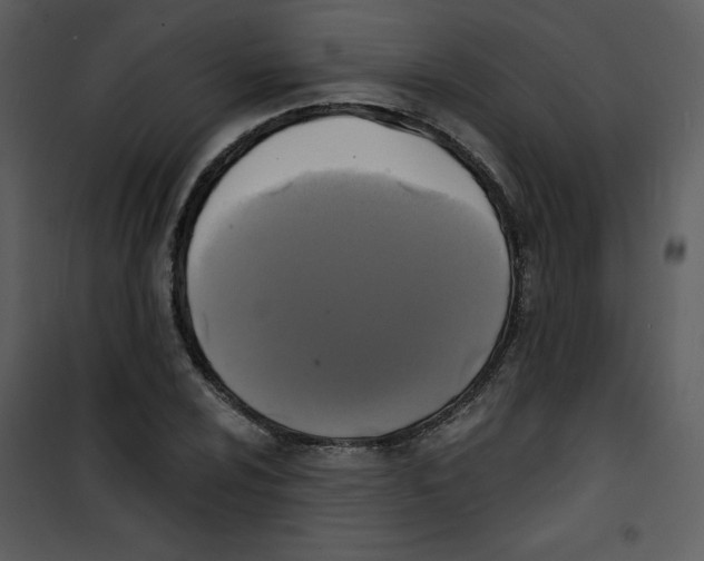 X0000100841024200807180915