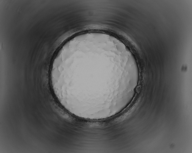 X0000100841025200807180915