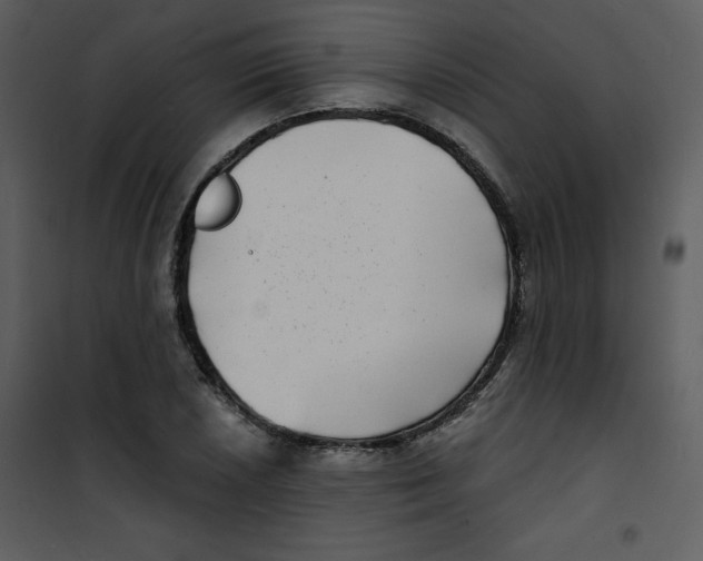 X0000100841026200807180915