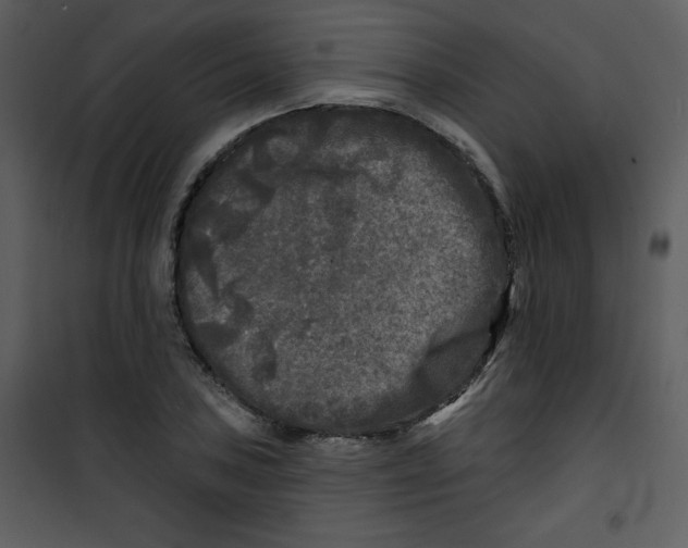 X0000100841027200807180915