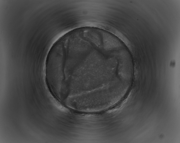 X0000100841028200807180915