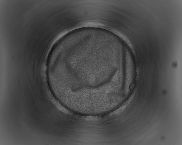 X0000100841029200807180915