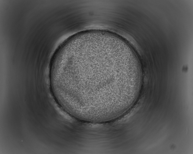 X0000100841030200807180915