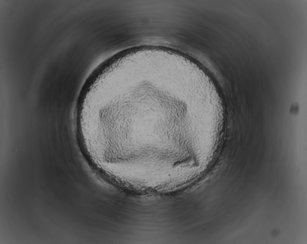 X0000100841032200807180916